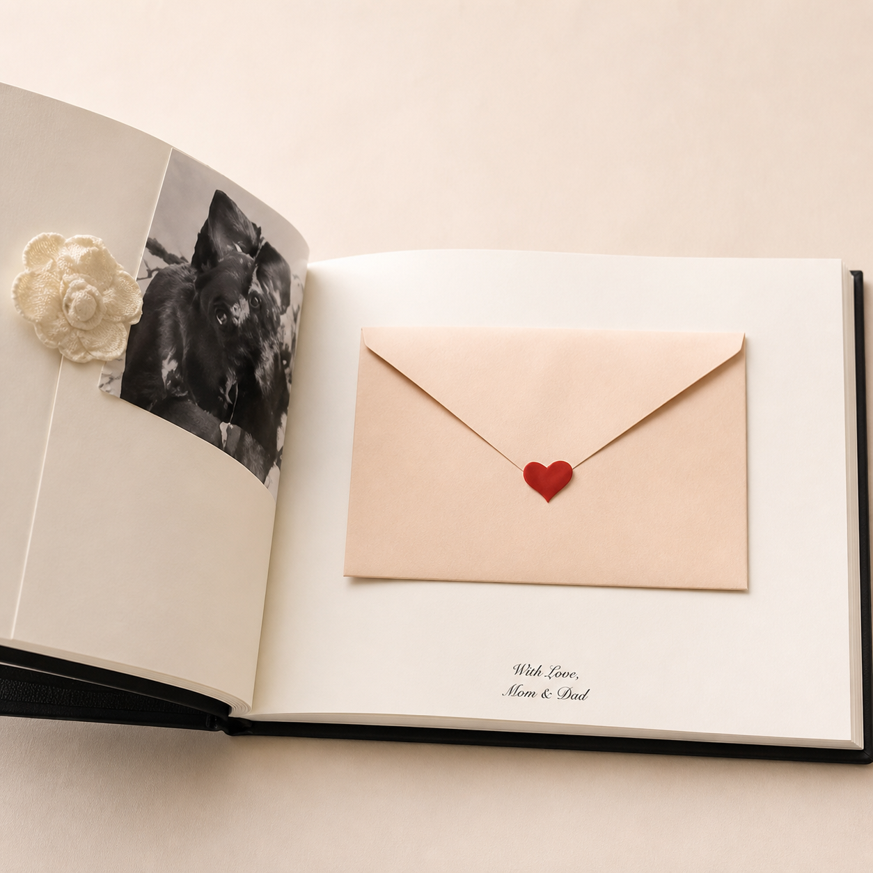 Letters to the Bride Book